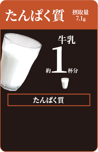 たんぱく質
