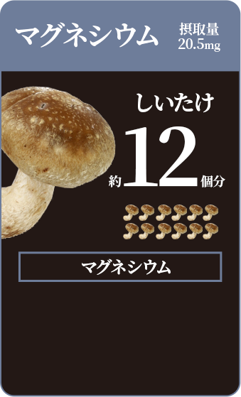 マグネシウム