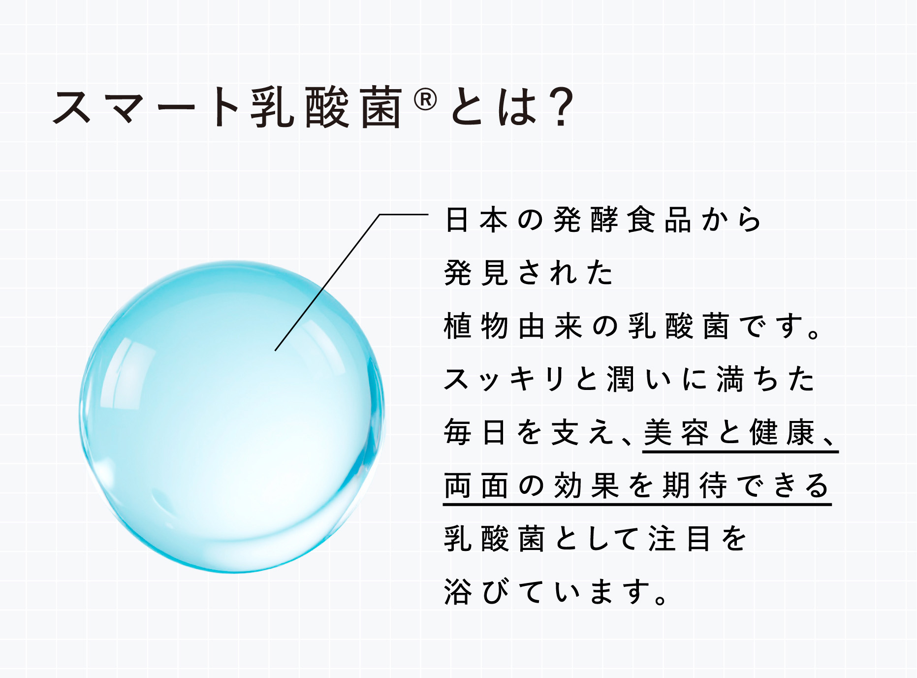 スマート乳酸菌®とは？ 日本の発酵食品から発見された植物由来の乳酸菌です。スッキリと潤いに満ちた毎日を支え、美容と健康、両面の効果を期待できる乳酸菌として注目を浴びています。