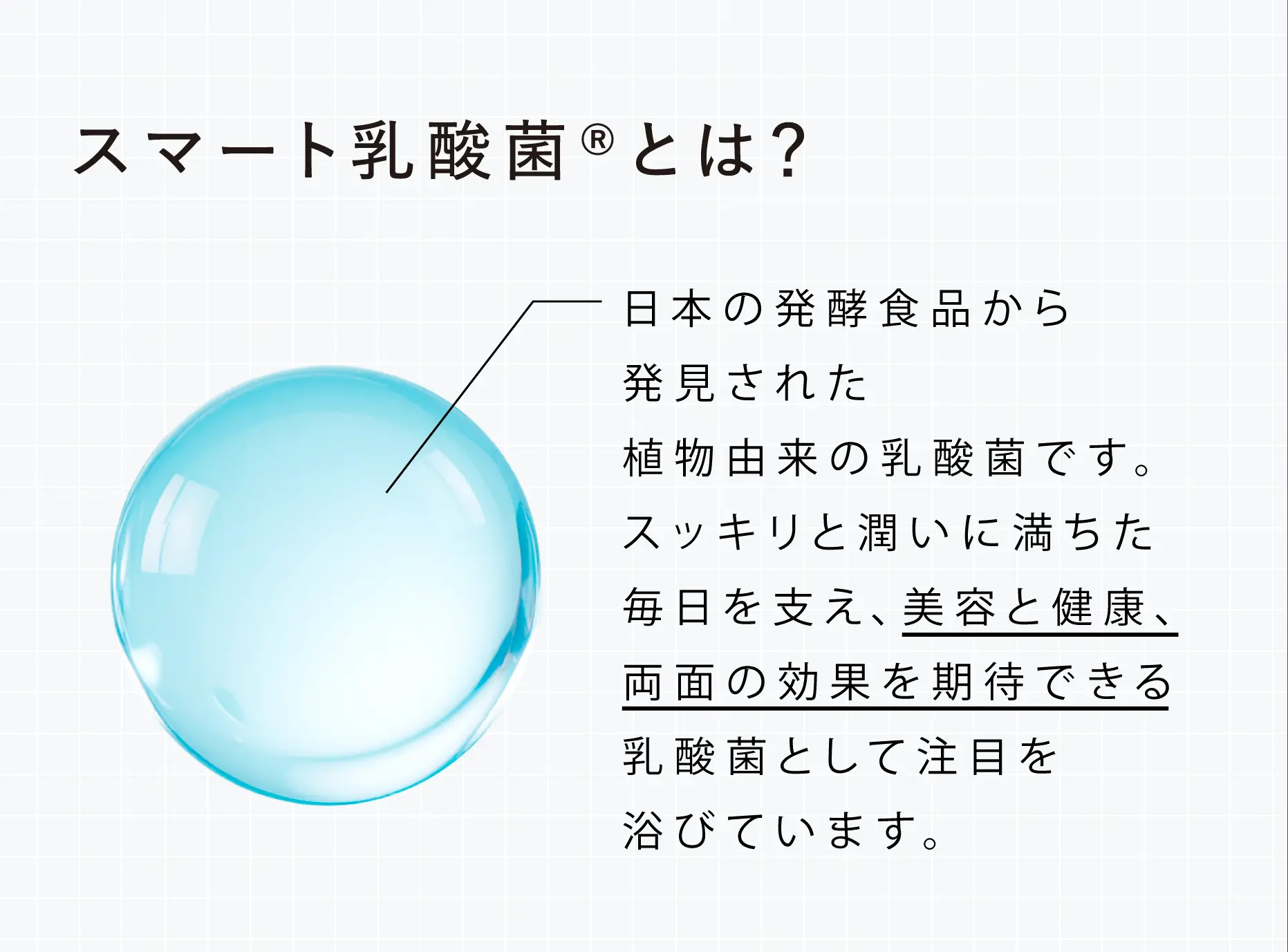 スマート乳酸菌®とは? 日本の発酵食品から発見された植物由来の乳酸菌です。スッキリと潤いに満ちた毎日を支え、美容と健康、両面の効果を期待できる乳酸菌として注目を浴びています。