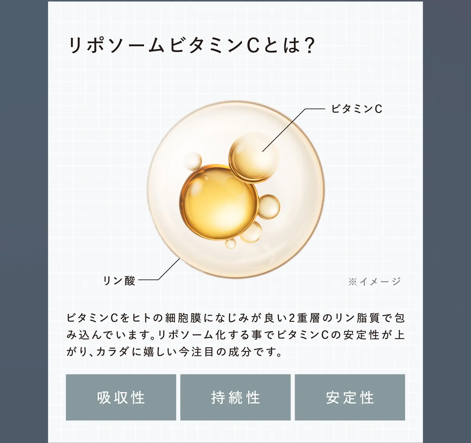 リポソームビタミンCとは? ビタミンCをヒトの細胞膜になじみが良い2重層のリン脂質で包み込んでいます。リポソーム化する事でビタミンCの安定性が上がり、カラダに嬉しい今注目の成分です。 吸収性,持続性,安定性