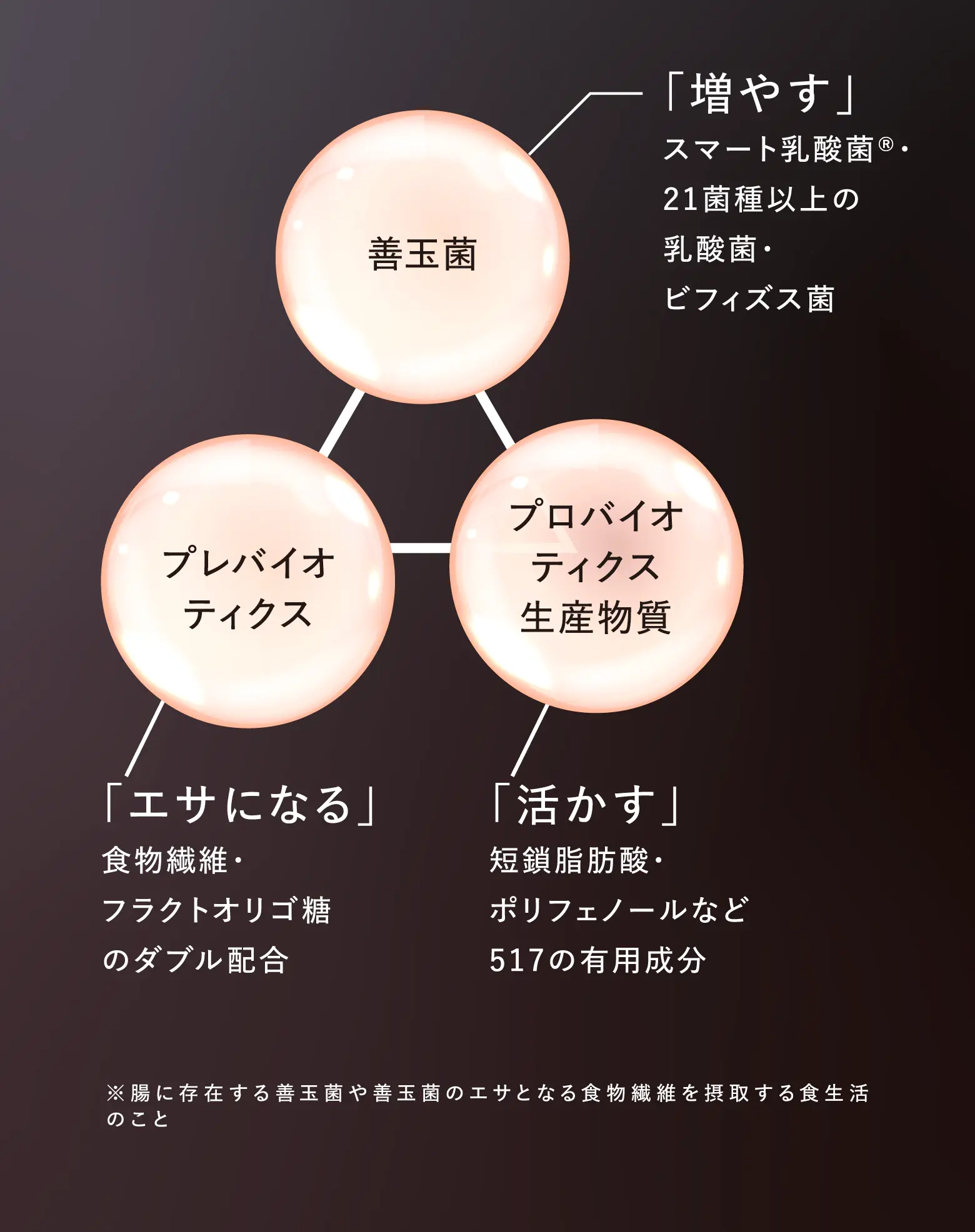 善玉菌:「増やす」スマート乳酸菌®・21菌種以上の乳酸菌・ビフィズス菌 プロバイオティクス生産物質:「活かす」短鎖脂肪酸・ポリフェノールなど517の有用成分 プレバイオティクス:「エサになる」食物繊維・フラクトオリゴ糖のダブル配合 ※腸に存在する善玉菌や善玉菌のエサとなる食物繊維を摂取する食生活のこと