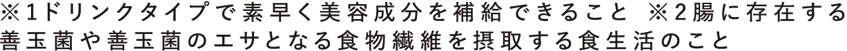 ※1ドリンクタイプで素早く美容成分を補給できること ※2腸に存在する善玉菌や善玉菌のエサとなる食物繊維を摂取する食生活のこと