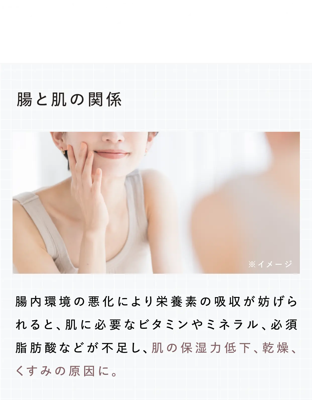 エイジングアプローチ ※年齢に応じたお手入れのこと 【腸と肌の関係】腸内環境の悪化により栄養素の吸収が妨げられると、肌に必要なビタミンやミネラル、必須脂肪酸などが不足し、肌の保湿力低下、乾燥、くすみの原因に。