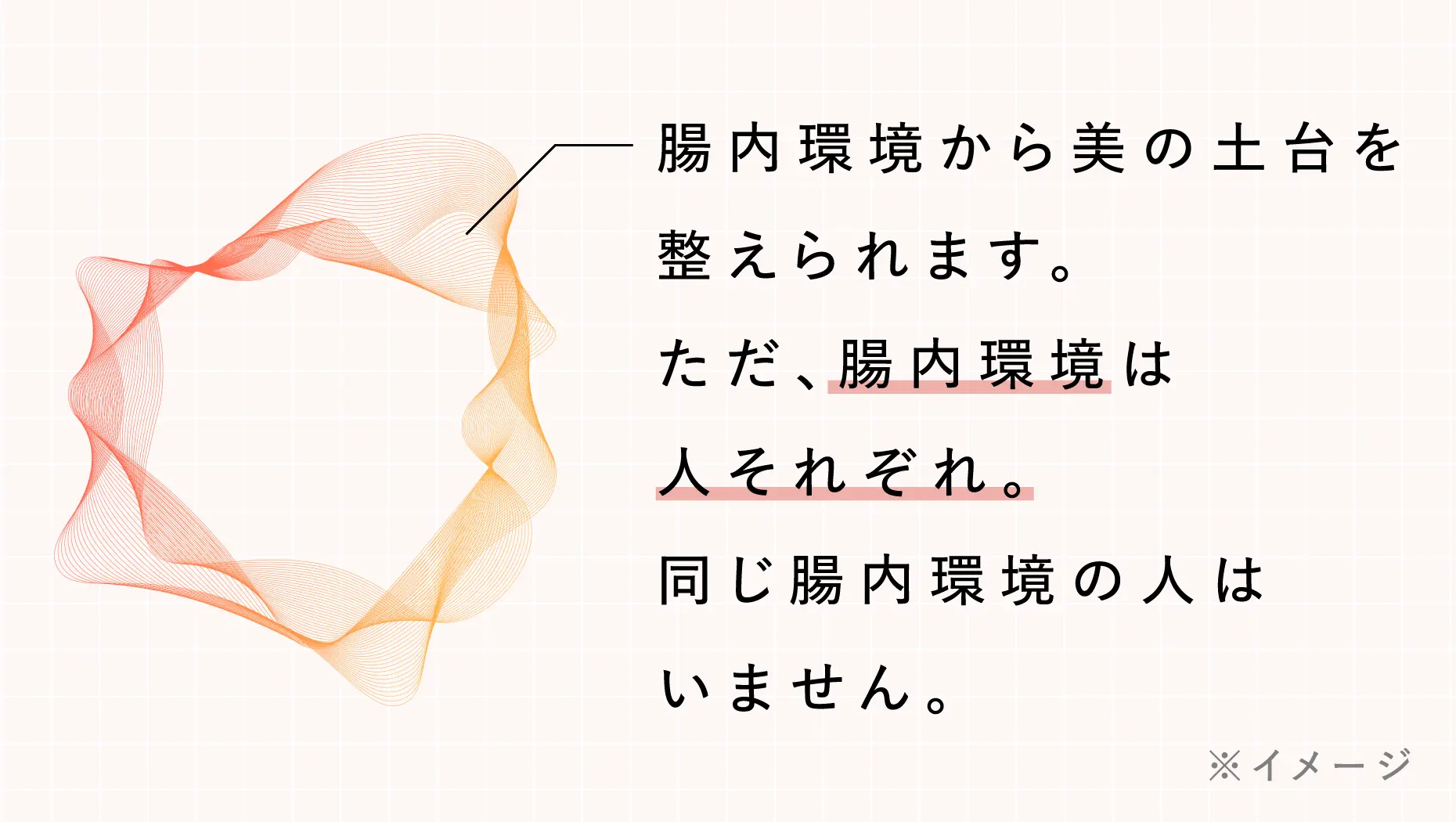 腸内環境から美の土台を整えられます。ただ、腸内環境は人それぞれ。同じ腸内環境の人はいません。