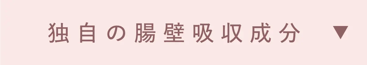 独自の腸壁吸収成分