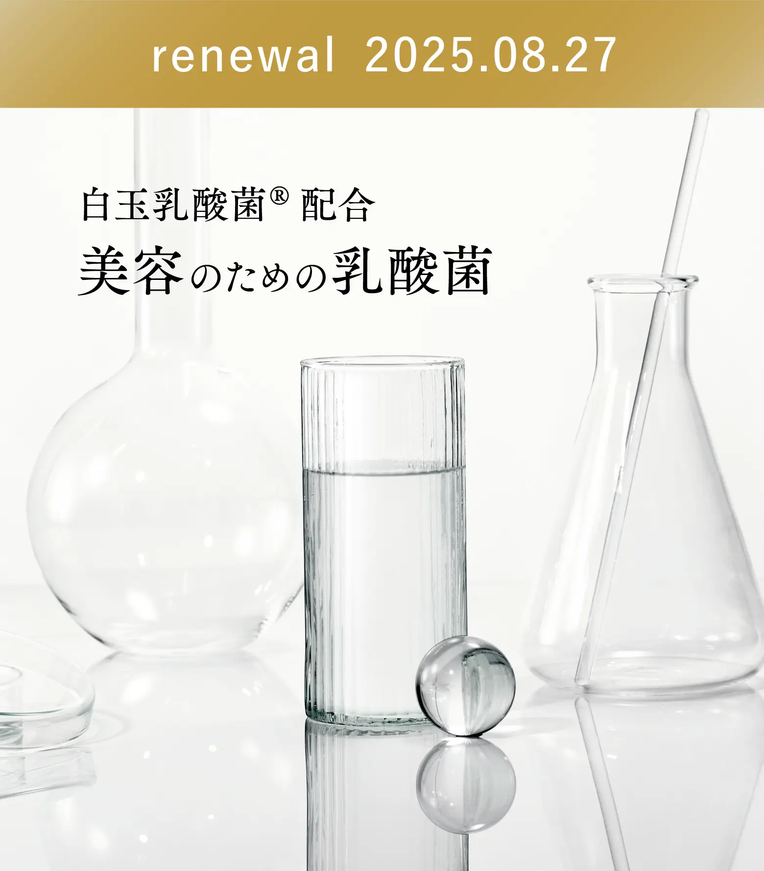 renewal 2025.08.27 白玉乳酸菌®配合 美容のための乳酸菌