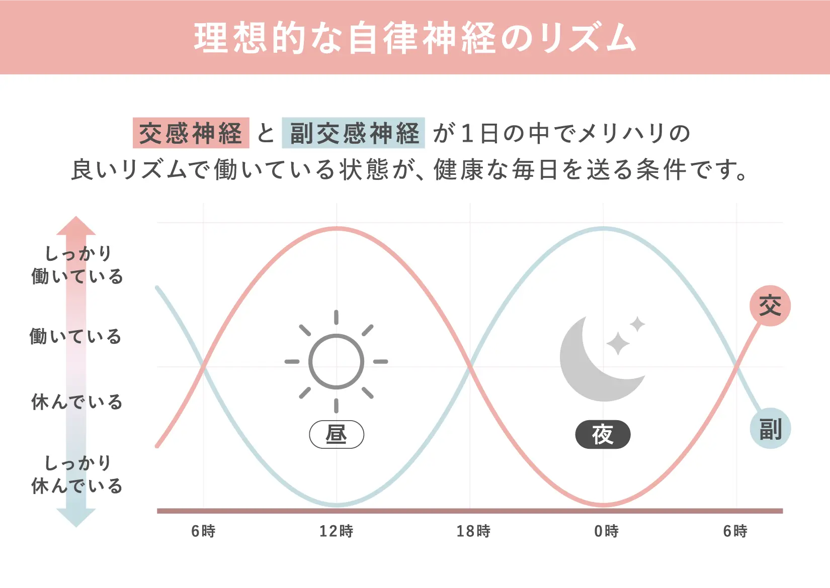 理想的な自律神経のリズム 交感神経 と 副交感神経 が1日の中でメリハリの良いリズムで働いている状態が、健康な毎日を送る条件です。