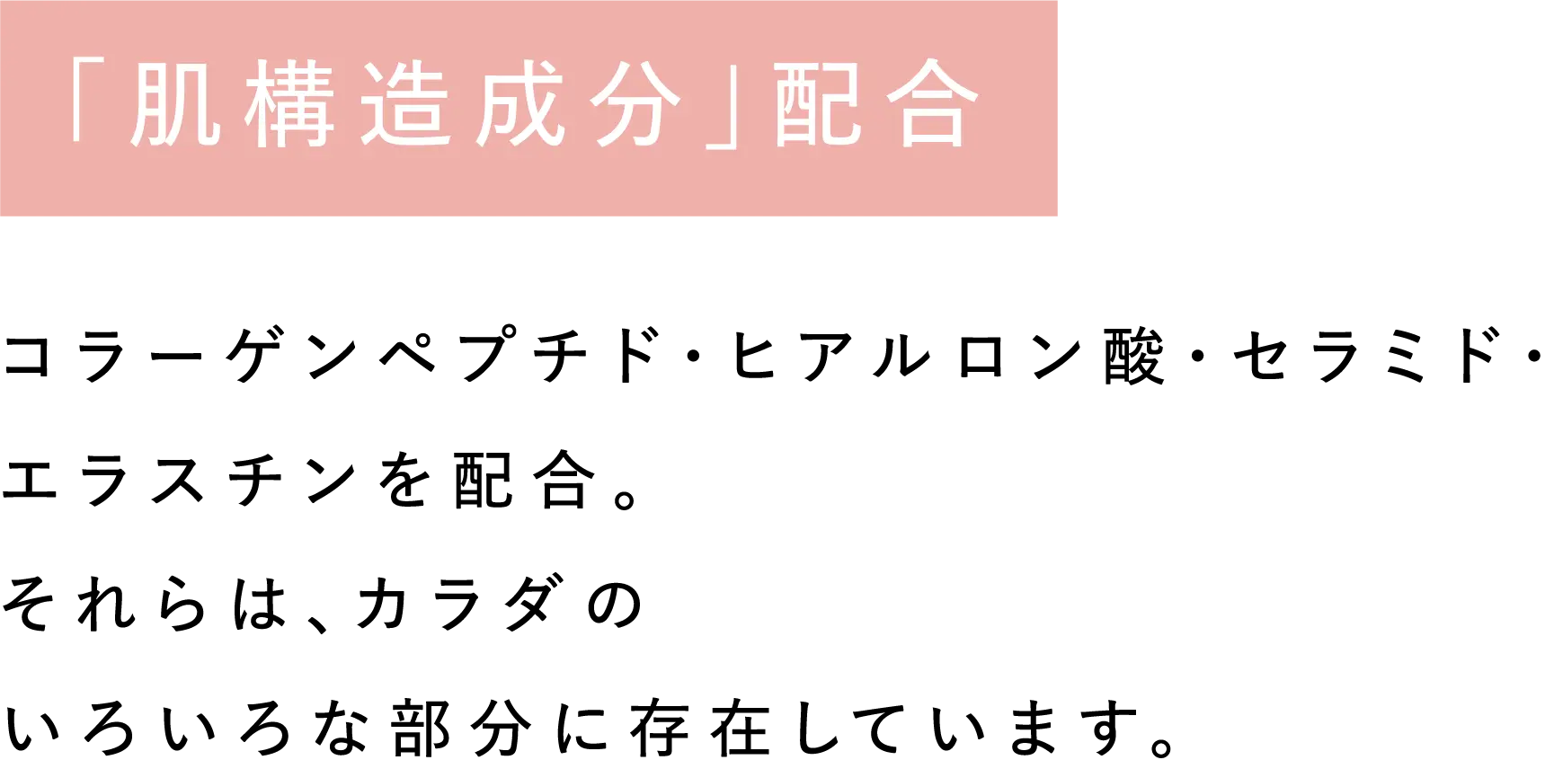 「肌構造成分」配合 コラーゲンペプチド・ヒアルロン酸・セラミド・エラスチンを配合。それらは、カラダのいろいろな部分に存在しています。