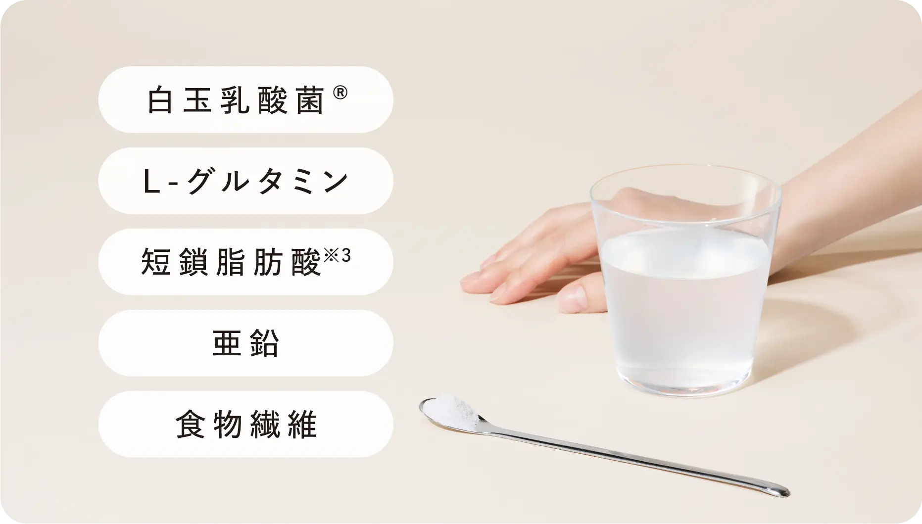 白玉乳酸菌® L-グルタミン 短鎖脂肪酸※3 亜鉛 食物繊維