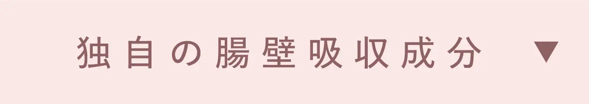 独自の腸壁吸収成分