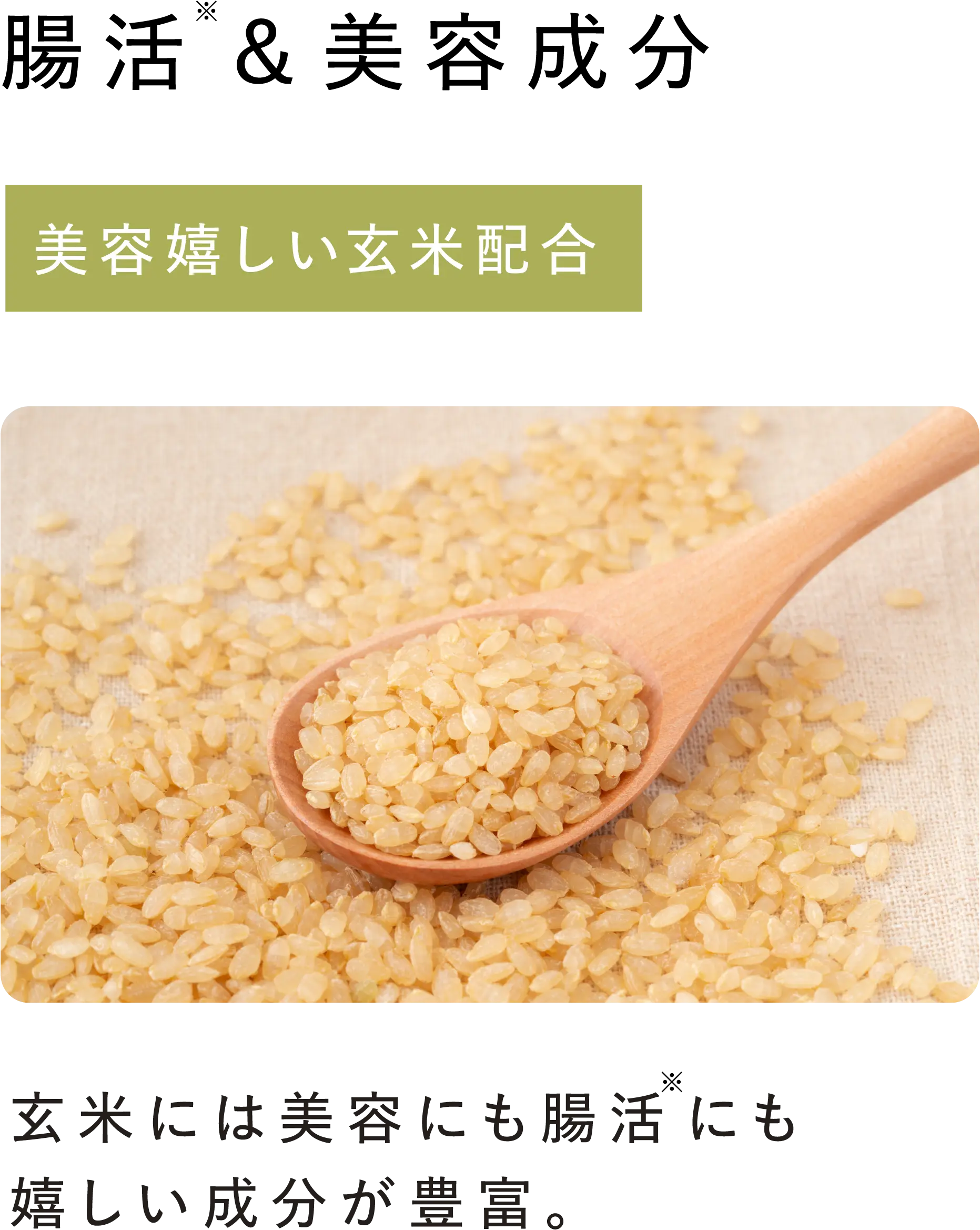 【腸活※&美容成分】美容嬉しい玄米配合 玄米には美容にも腸活※にも嬉しい成分が豊富。