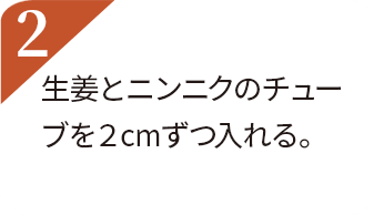 生姜とニンニクのチューブを2cmずつ入れる。