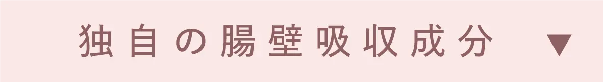 独自の腸壁吸収成分