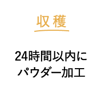 収穫 24時間以内にパウダー加工