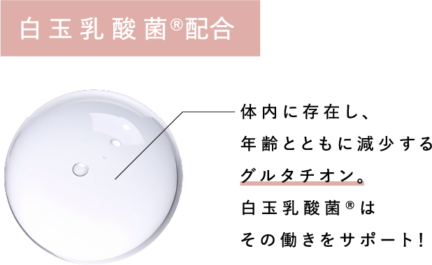 白玉乳酸菌配合 グルタチオンをサポート