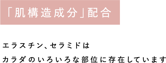 肌構造成分配合