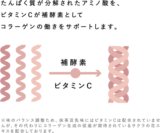ビタミンCがコラーゲンの働きをサポート