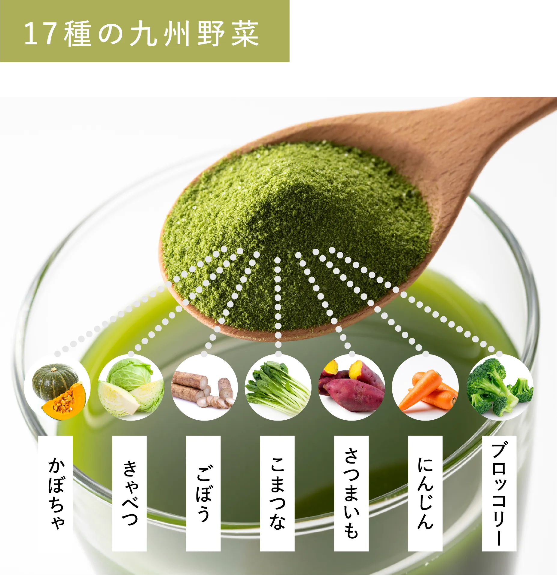 17種の九州野菜 かぼちゃ、きゃべつ、ごぼう、こまつな、さつまいも、にんじん、ブロッコリー