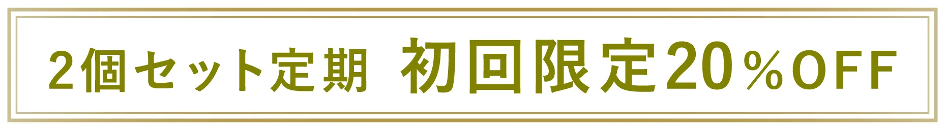 2個セット定期 初回限定20%OFF