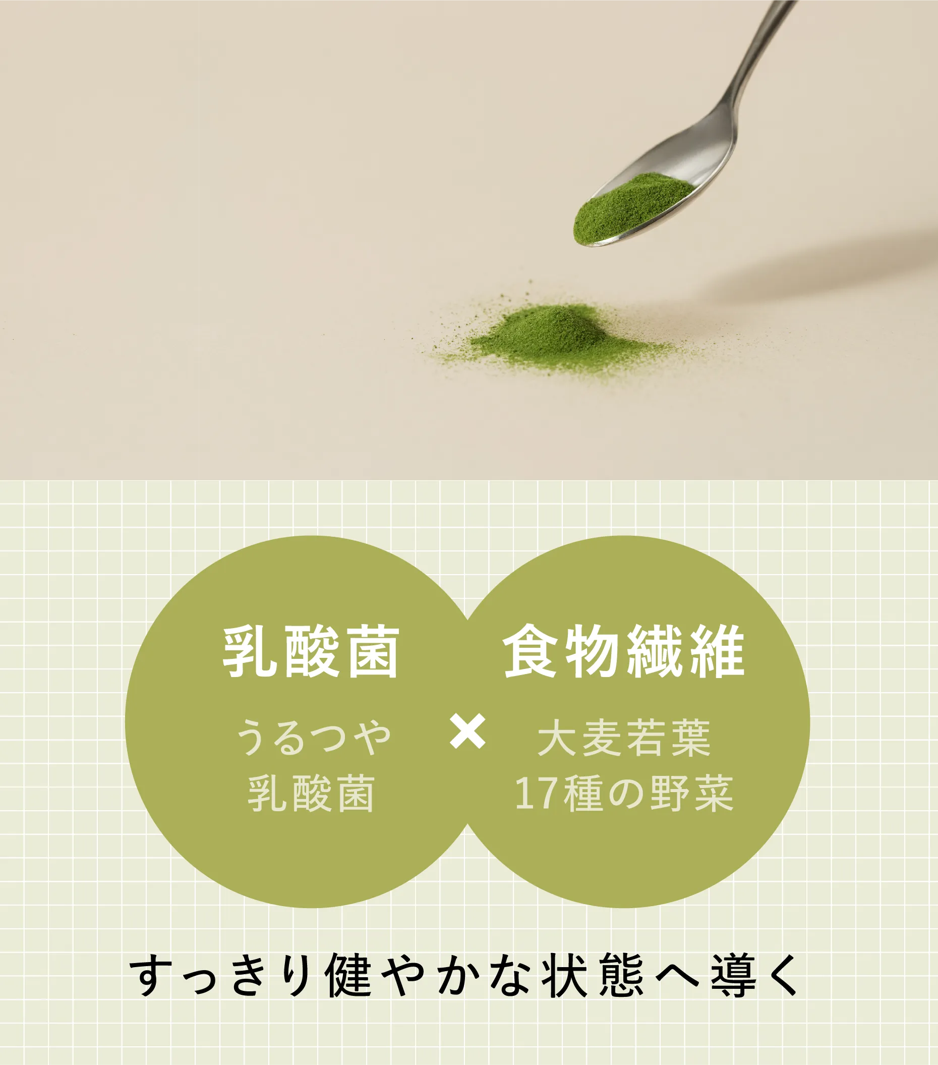 乳酸菌：うるつや乳酸菌×食物纎維：大麦若葉、17種の野菜 すっきり健やかな状態へ導く