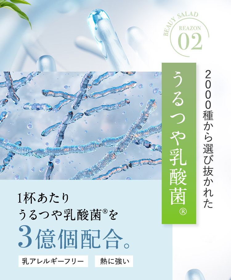 BEAUY SALAD REAZON 02 2000種から選び抜かれた うるつや乳酸菌（R） 1杯あたりうるつや乳酸菌（R）を3億個配合。 乳アレルギーフリー 熱に強い