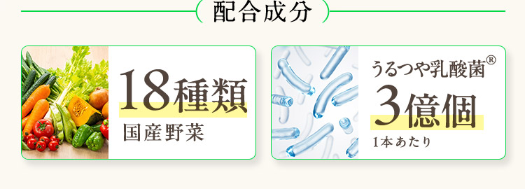 配合成分 18種類 国産野菜 うるつや乳酸菌（R） 3億個 1本あたり