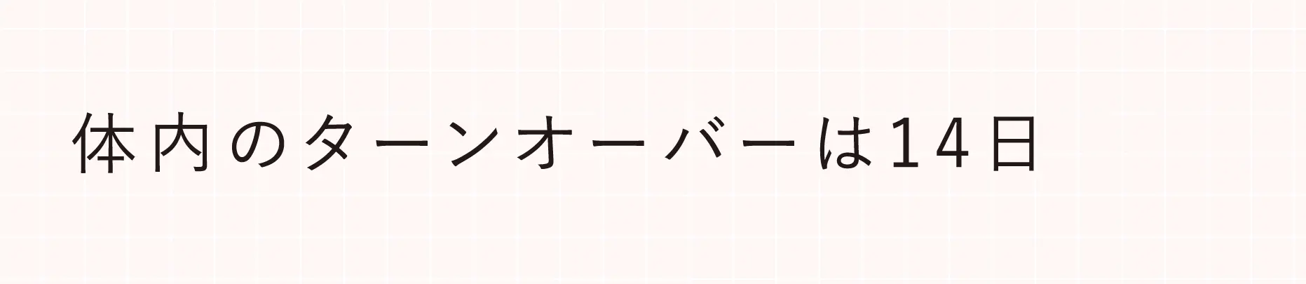 体内のターンオーバーは14日