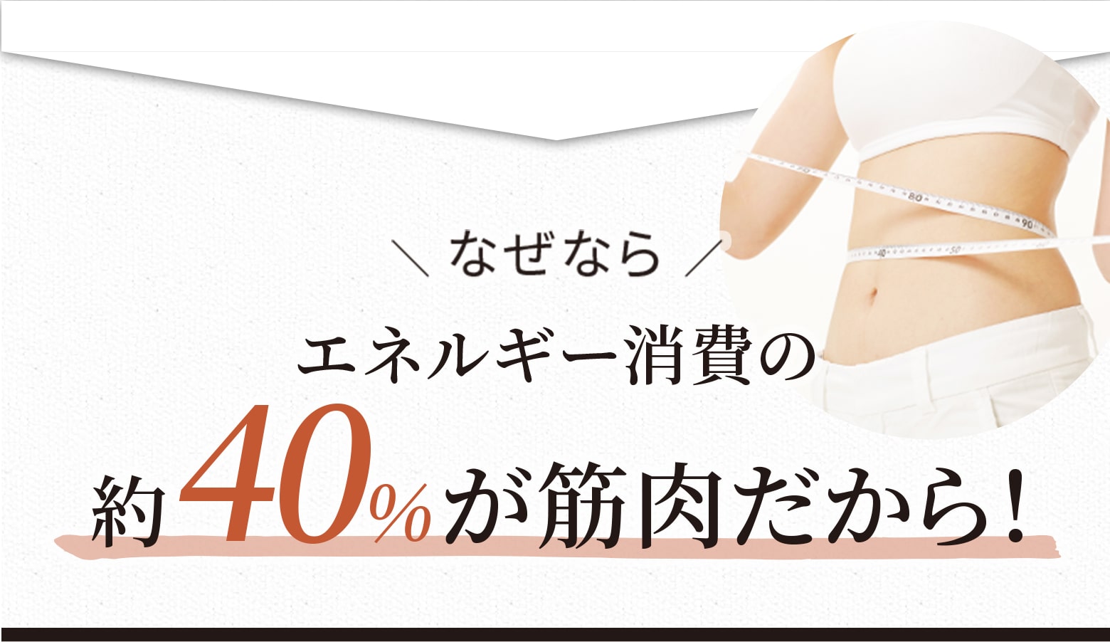 なぜならエネルギー消費の約40%が筋肉だから!
