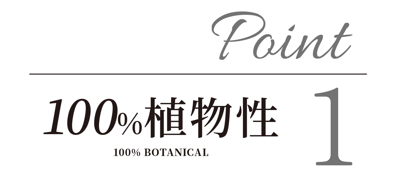 Point 100%植物性
