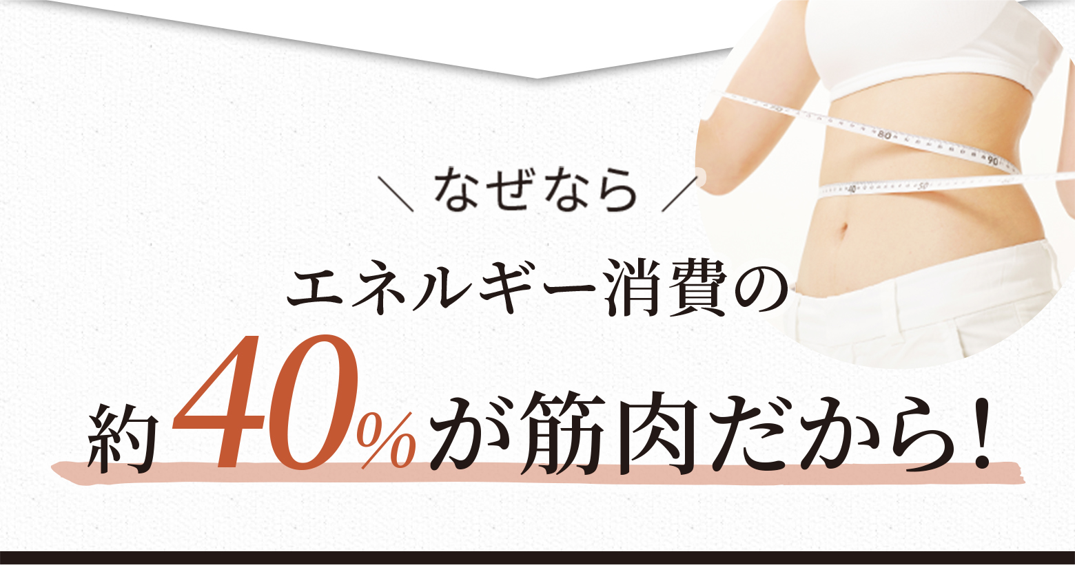 なぜならエネルギー消費の約40%が筋肉だから!