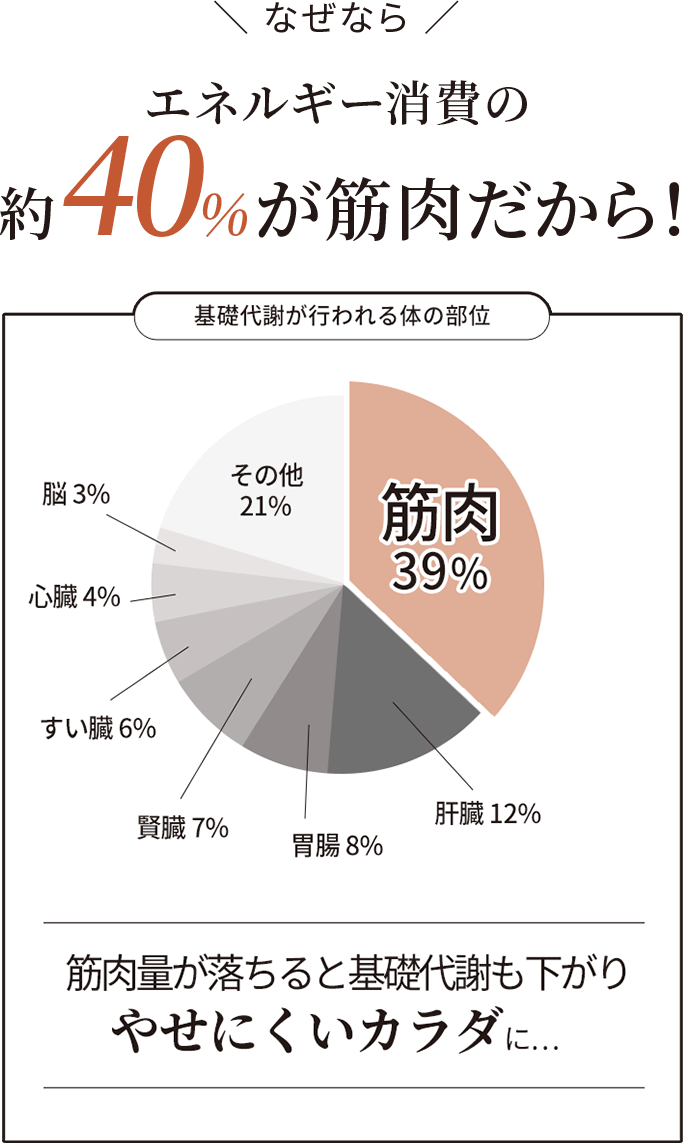 なぜならエネルギー消費の約40%が筋肉だから!