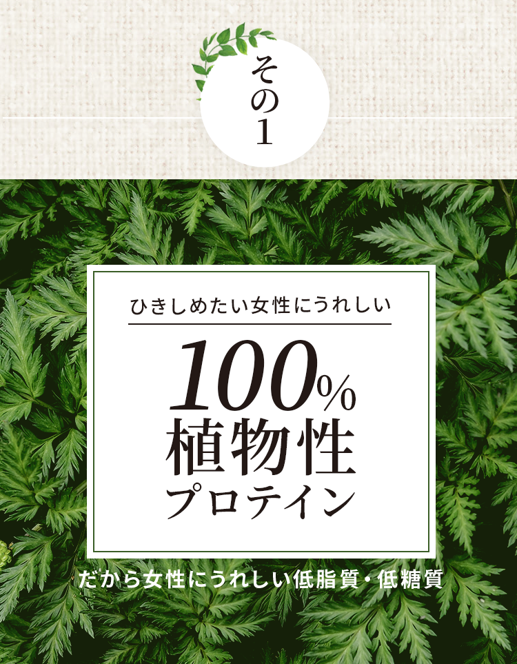 その1「ダイエッター」にうれしい100%植物性プロテインだから女性に嬉しい低脂質・低糖質