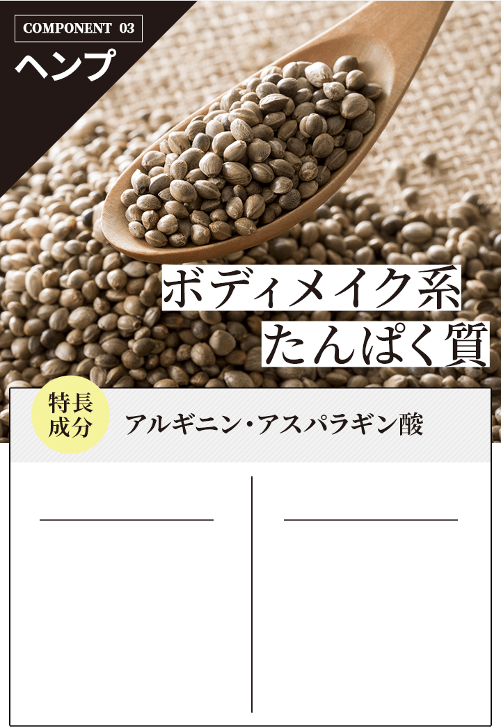 ボディメイク系タンパク質 アルギニンアスパラギン酸