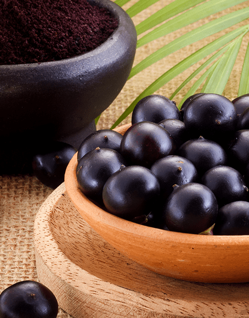 アサイーAcai