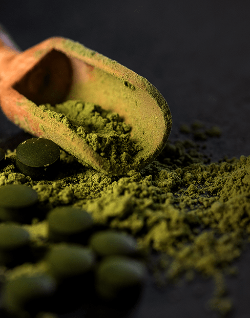 スピルリナSpirulina