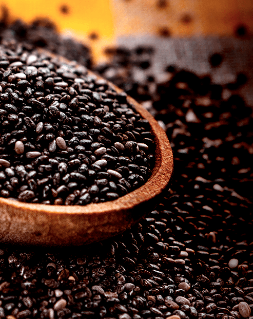 チアシードChia seed