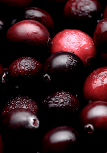 カムカムCami Camu