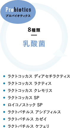 プロバイオティクス 8種類 乳酸菌 ラクトコッカス ディアセチラクティス。ラクトコッカス ラクティス。ラクトコッカス クレモリス。ラクトコッカス SP。ロイコノストック SP。ラクトバチルス アシドフィルス。ラクトバチルス カゼイ。ラクトバチルス ケフェリ