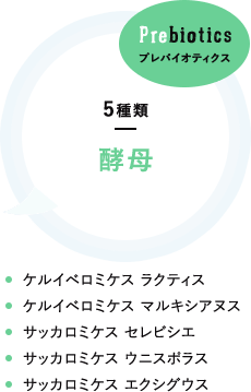 プレバイオティクス 5種類 酵母 ケルイベロミケス ラクティス。ケルイベロミケス マルキシアヌス。サッカロミケス セレビシエ。サッカロミケス ウニスポラス。サッカロミケス エクシグウス。