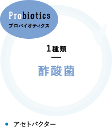 プロバイオティクス 1種類 酢酸菌 アセトバクター