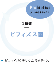 プロバイオティクス 1種類 ビフィズス菌 ビフィドバクテリウム ラクティス