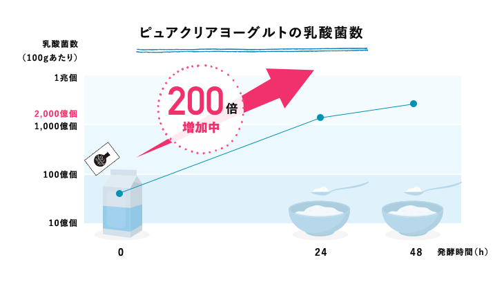 ピュアクリアヨーグルトの乳酸菌数 乳酸菌数(100gあたり)が発酵時間48時間で200倍に増加中