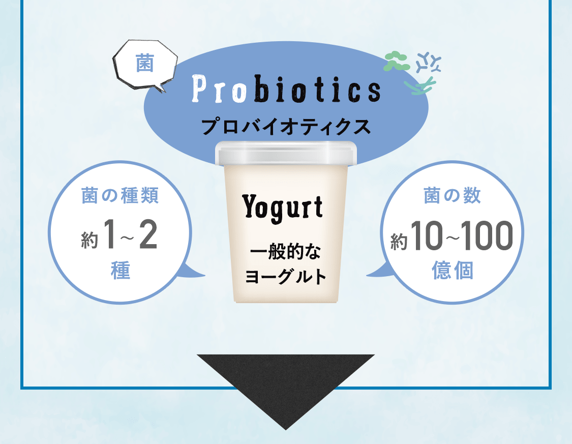 Probiotics プロバイオティクス。 一般的なヨーグルト。菌の種類約1~2種。菌の数約10~100億個