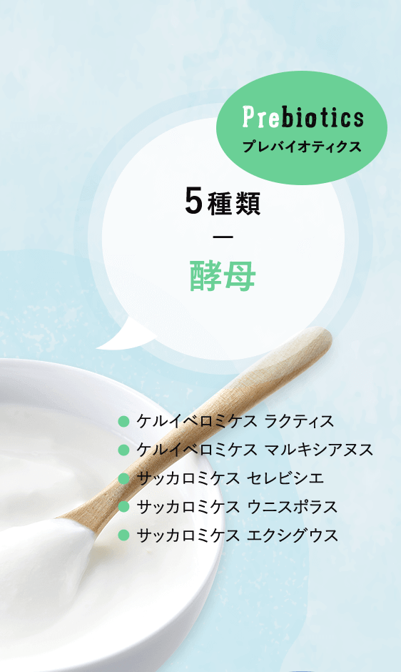 プレバイオティクス 5種類 酵母 ケルイベロミケス ラクティス。ケルイベロミケス マルキシアヌス。サッカロミケス セレビシエ。サッカロミケス ウニスポラス。サッカロミケス エクシグウス。