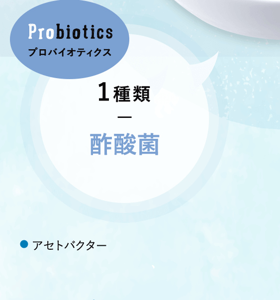 プロバイオティクス 1種類 酢酸菌 アセトバクター