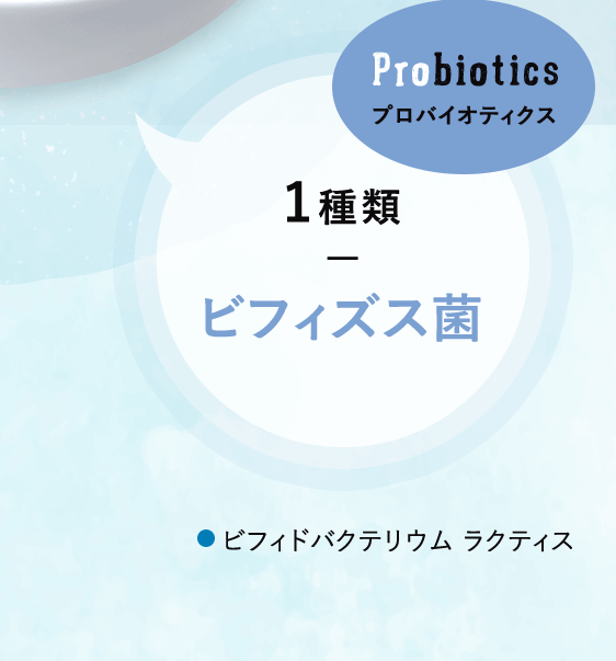 プロバイオティクス 1種類 ビフィズス菌 ビフィドバクテリウム ラクティス